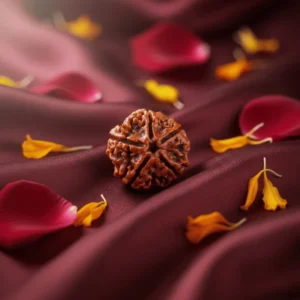 5 Mukhi Nepali Rudraksha