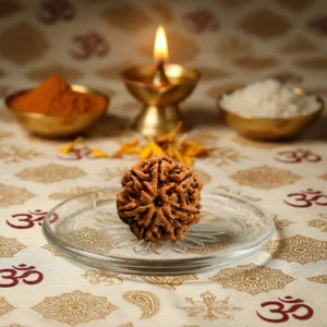 7 Mukhi Rudraksha
