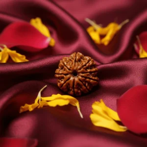 9 Mukhi Nepali Rudraksha
